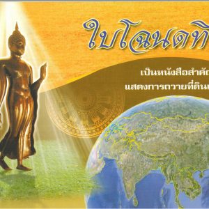Image (20)